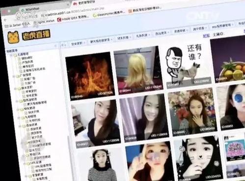 成人区视频播放,激情与禁忌的视觉盛宴