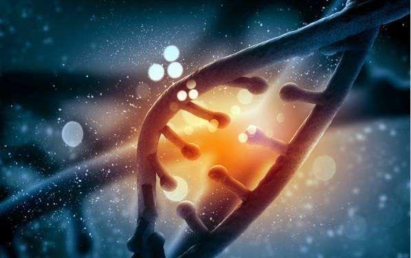 外国猩猩进化成人类视频,从外国猩猩到人类的进化历程揭秘