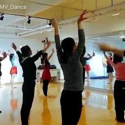 成人形体芭蕾操视频,成人形体芭蕾操视频全解析