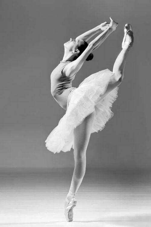 成人形体芭蕾操视频,成人形体芭蕾操视频全解析