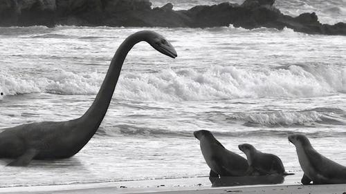 水怪上岸变成人类视频,揭秘人类与未知生物的神秘邂逅