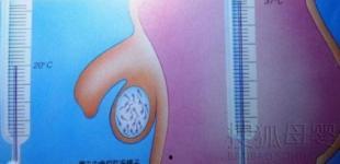 国外成人性教育视频,全面视角下的性知识普及与观念更新