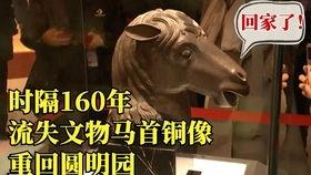 武汉成人高考直播视频,直播视频深度解析