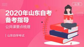 武汉成人高考直播视频,直播视频深度解析