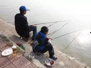 成人和小孩钓鱼视频大全,成人与小孩共度欢乐钓鱼时光