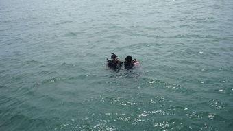 成人和小孩钓鱼视频大全,成人与小孩共度欢乐钓鱼时光