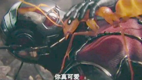 蚂蚁变成人的视频播放,奇幻变身之旅