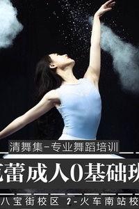 成人芭蕾入门舞蹈视频,跟随入门视频轻松掌握成人芭蕾基础