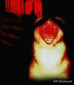 狗变成人类恐怖视频,狗变人恐怖视频揭秘