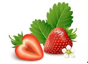 成人小视频草莓,成人小视频中的激情演绎